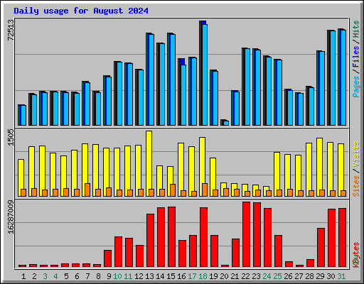 Daily usage for August 2024