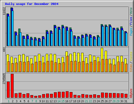 Daily usage for December 2024