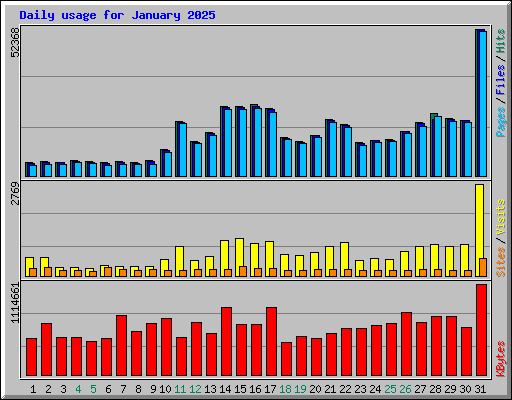 Daily usage for January 2025