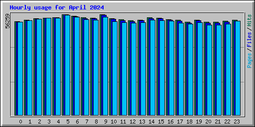 Hourly usage for April 2024