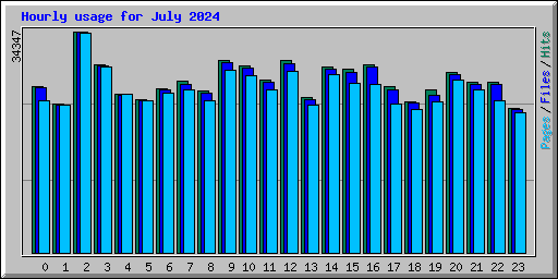 Hourly usage for July 2024