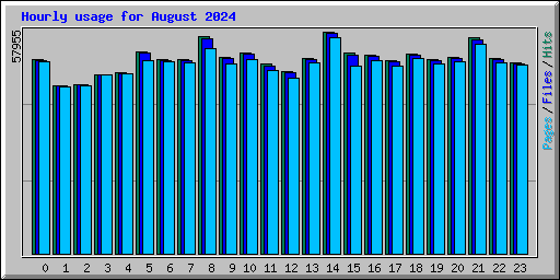Hourly usage for August 2024