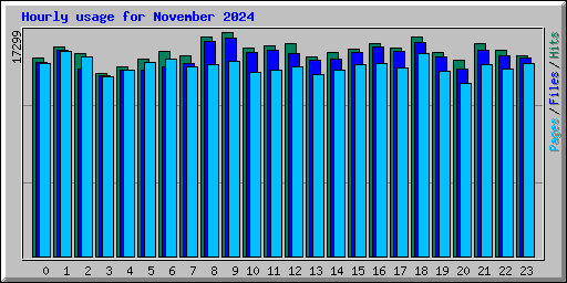 Hourly usage for November 2024