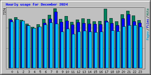 Hourly usage for December 2024
