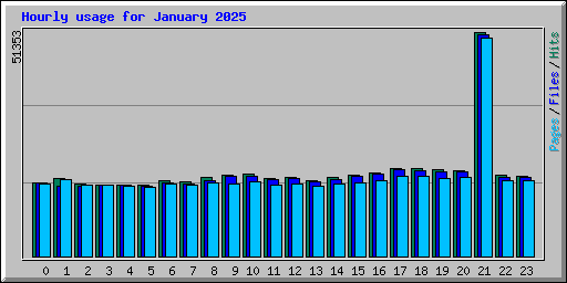 Hourly usage for January 2025