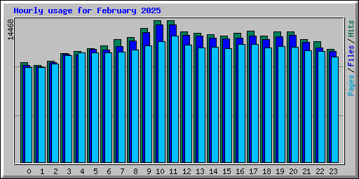 Hourly usage for February 2025