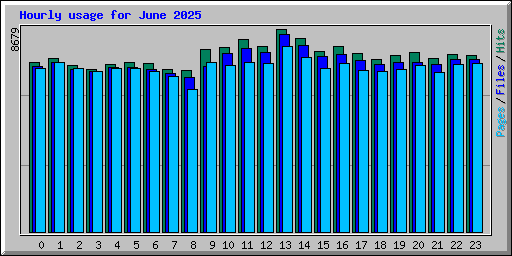 Hourly usage for June 2025